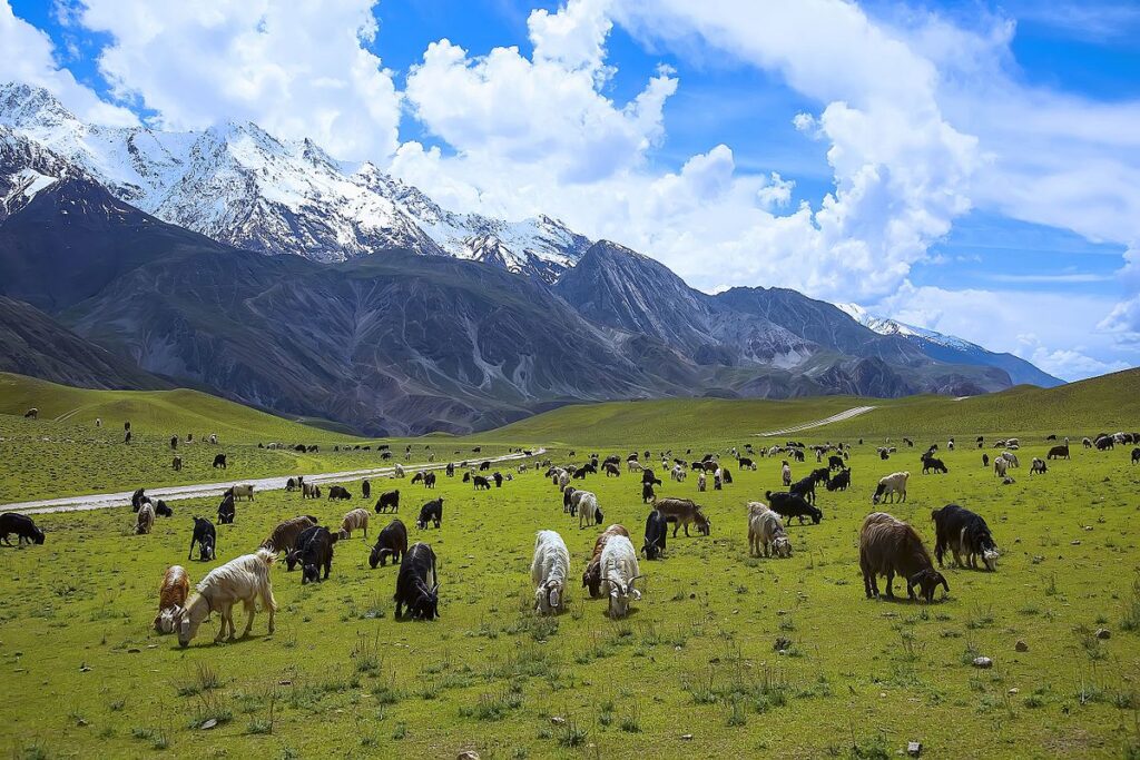 Chitral National Gol Park