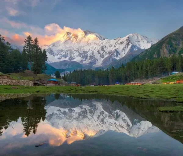 Fairy Meadows