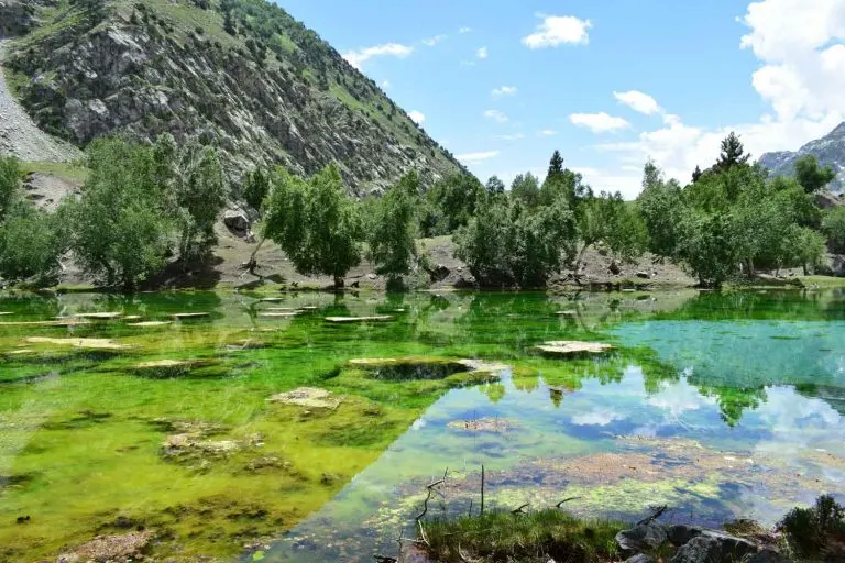 Naltar Valley